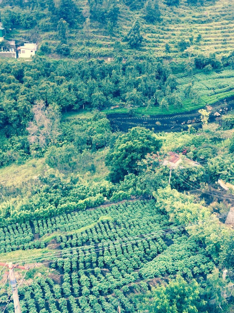 Zion Elite Residency Ξενοδοχείο Kodaikanal Εξωτερικό φωτογραφία