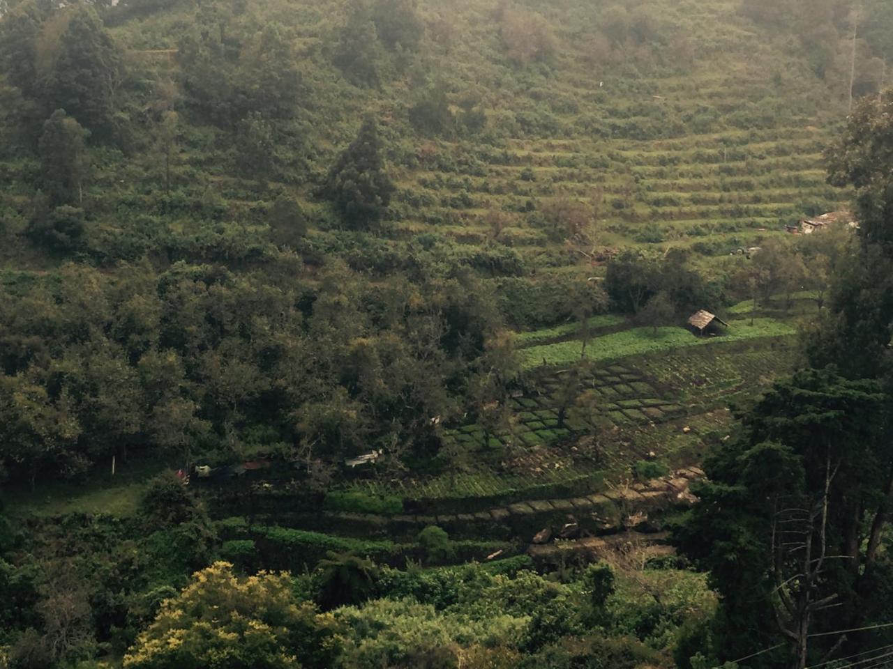 Zion Elite Residency Ξενοδοχείο Kodaikanal Εξωτερικό φωτογραφία