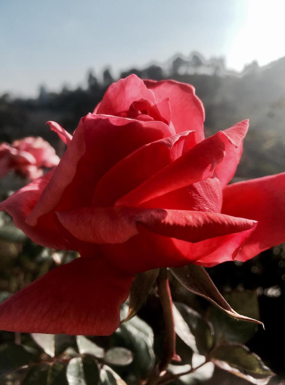 Zion Elite Residency Ξενοδοχείο Kodaikanal Εξωτερικό φωτογραφία